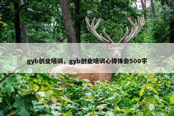 gyb创业培训，gyb创业培训心得体会500字