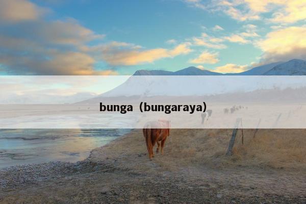 bunga（bungaraya）