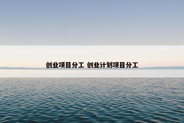 创业项目分工 创业计划项目分工