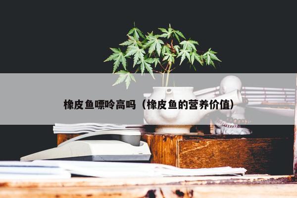 橡皮鱼嘌呤高吗（橡皮鱼的营养价值）