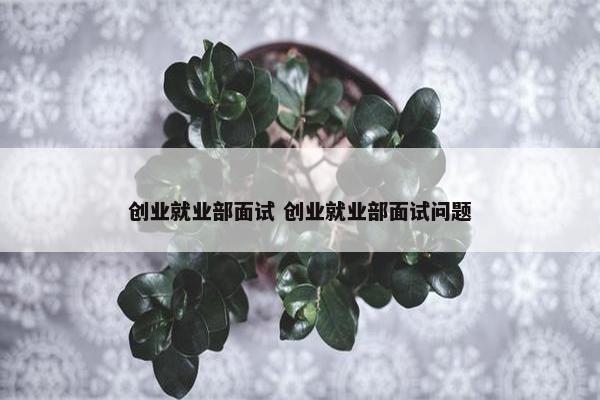 创业就业部面试 创业就业部面试问题