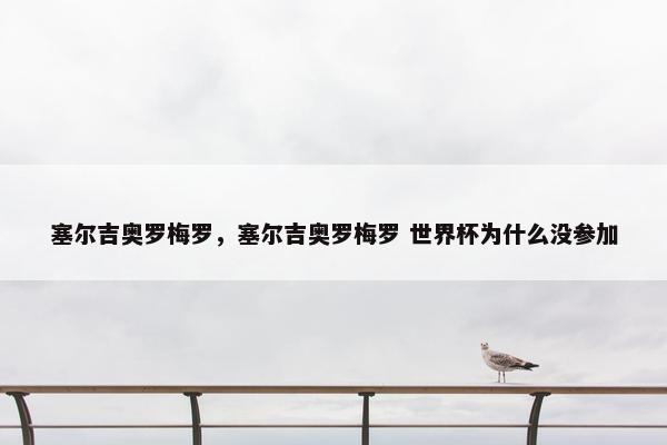 塞尔吉奥罗梅罗，塞尔吉奥罗梅罗 世界杯为什么没参加