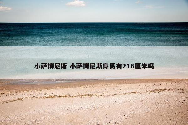 小萨博尼斯 小萨博尼斯身高有216厘米吗