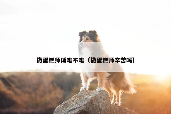 做蛋糕师傅难不难（做蛋糕师辛苦吗）