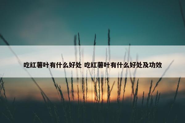 吃红薯叶有什么好处 吃红薯叶有什么好处及功效