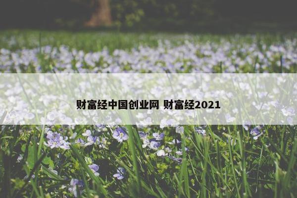 财富经中国创业网 财富经2021