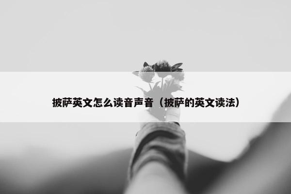 披萨英文怎么读音声音（披萨的英文读法）