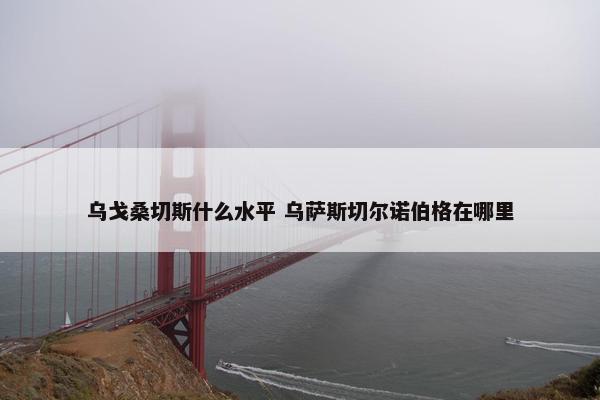 乌戈桑切斯什么水平 乌萨斯切尔诺伯格在哪里