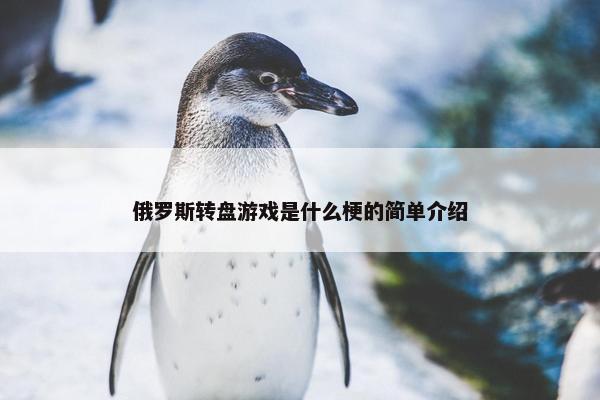 俄罗斯转盘游戏是什么梗的简单介绍