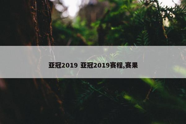 亚冠2019 亚冠2019赛程,赛果