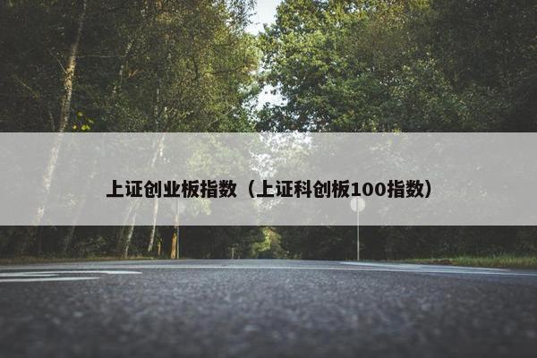 上证创业板指数（上证科创板100指数）