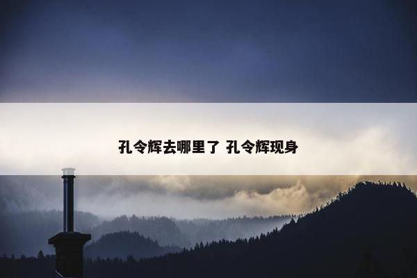 孔令辉去哪里了 孔令辉现身