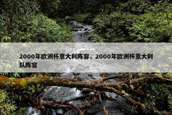 2000年欧洲杯意大利阵容，2000年欧洲杯意大利队阵容