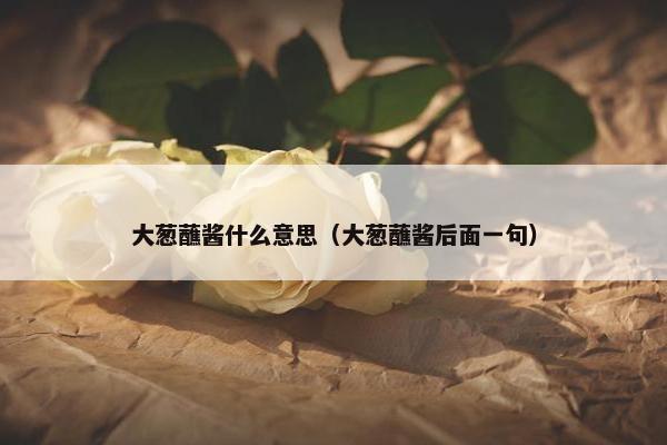 大葱蘸酱什么意思（大葱蘸酱后面一句）