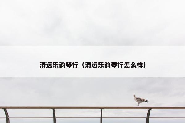 清远乐韵琴行（清远乐韵琴行怎么样）