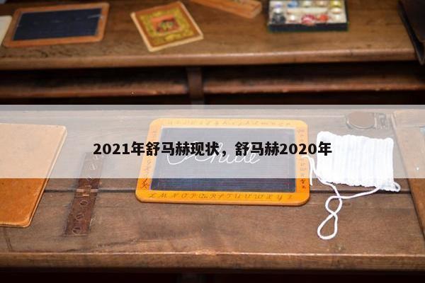 2021年舒马赫现状，舒马赫2020年