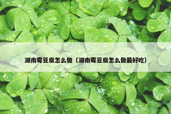 湖南霉豆腐怎么做（湖南霉豆腐怎么做最好吃）