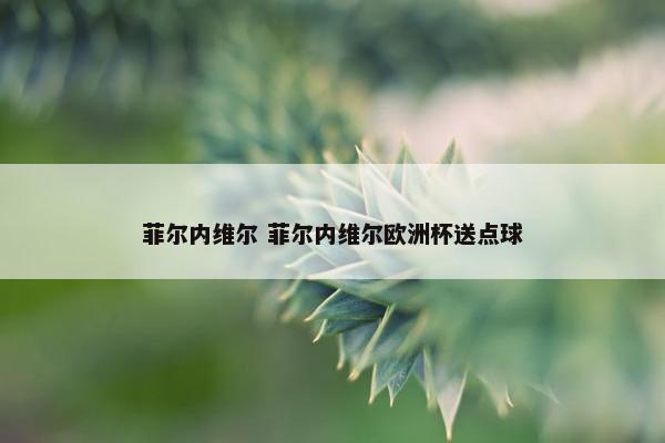 菲尔内维尔 菲尔内维尔欧洲杯送点球