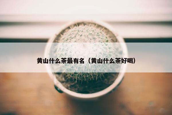 黄山什么茶最有名（黄山什么茶好喝）