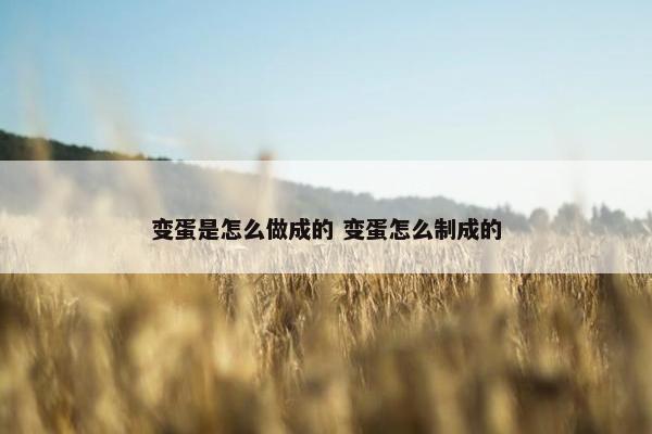 变蛋是怎么做成的 变蛋怎么制成的