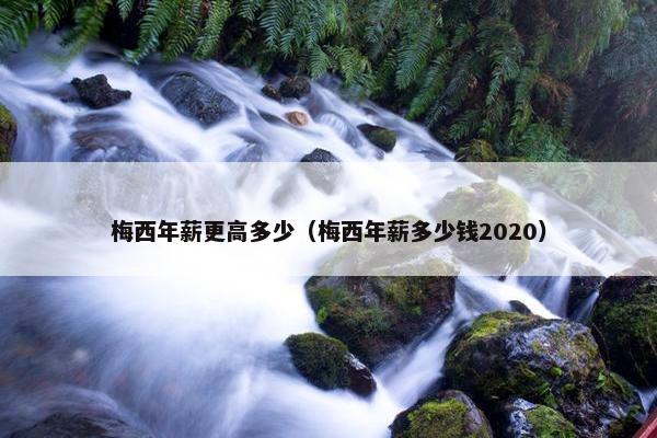 梅西年薪更高多少（梅西年薪多少钱2020）