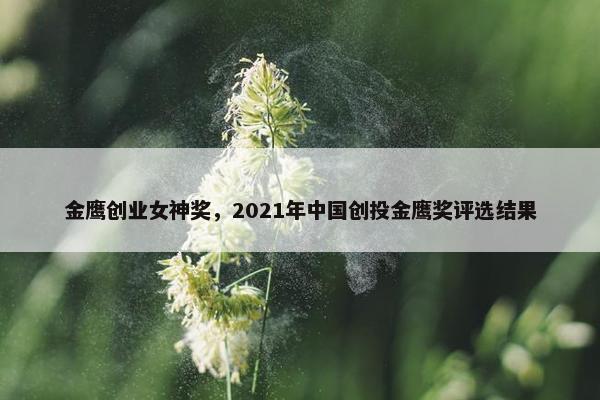 金鹰创业女神奖，2021年中国创投金鹰奖评选结果