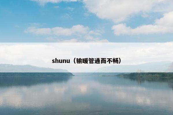 shunu（输暖管通而不畅）