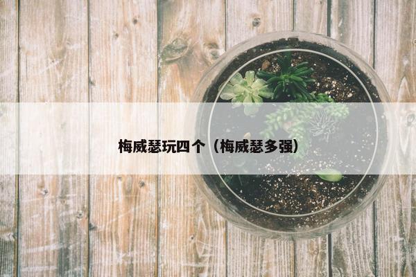 梅威瑟玩四个（梅威瑟多强）