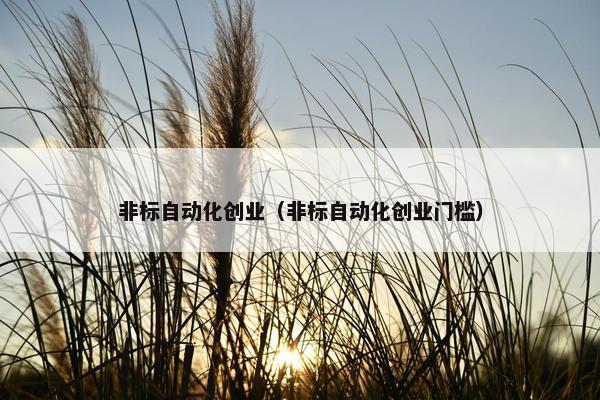 非标自动化创业（非标自动化创业门槛）