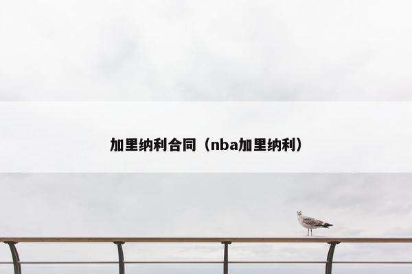 加里纳利合同（nba加里纳利）