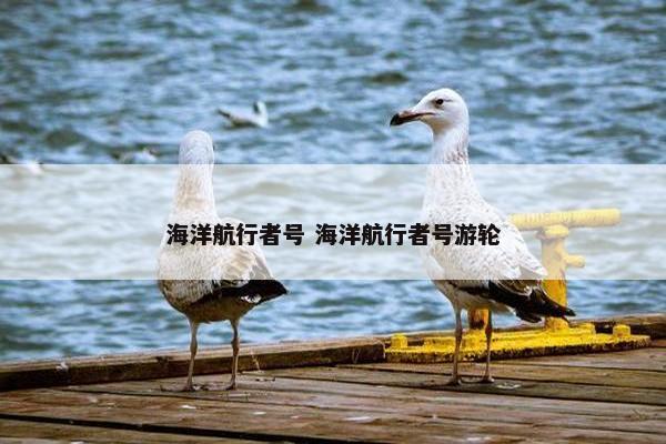 海洋航行者号 海洋航行者号游轮