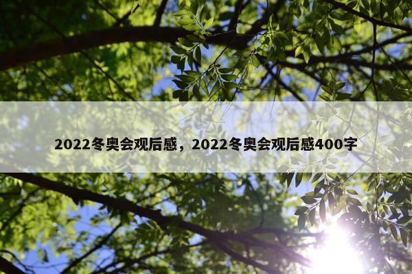 2022冬奥会观后感，2022冬奥会观后感400字