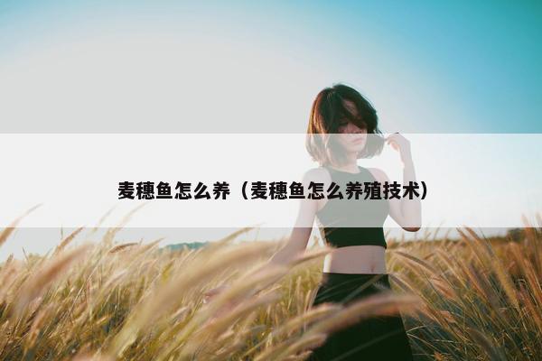 麦穗鱼怎么养（麦穗鱼怎么养殖技术）