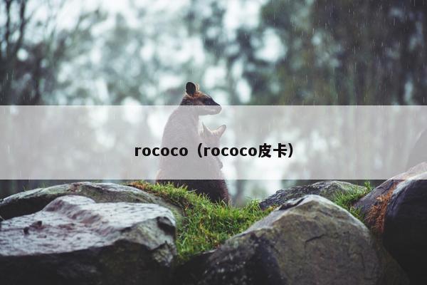 rococo（rococo皮卡）