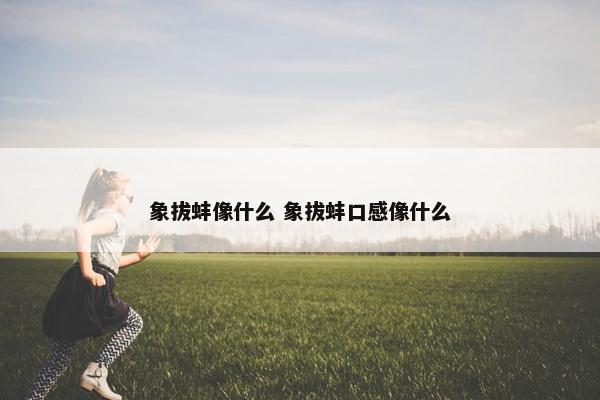 象拔蚌像什么 象拔蚌口感像什么