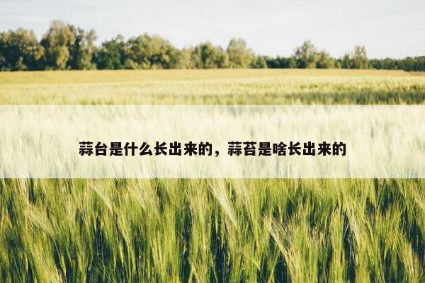 蒜台是什么长出来的，蒜苔是啥长出来的