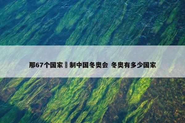 那67个国家扺制中国冬奥会 冬奥有多少国家