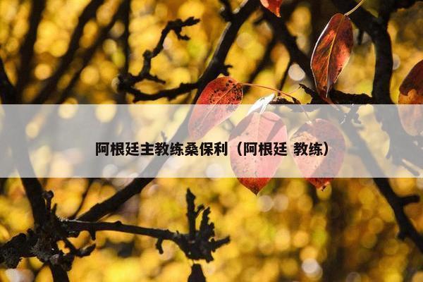 阿根廷主教练桑保利（阿根廷 教练）