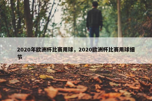 2020年欧洲杯比赛用球，2020欧洲杯比赛用球细节