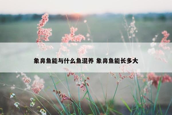 象鼻鱼能与什么鱼混养 象鼻鱼能长多大