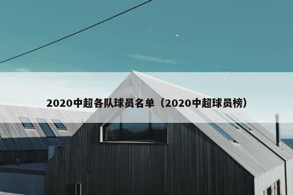 2020中超各队球员名单（2020中超球员榜）