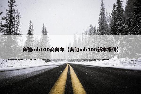 奔驰mb100商务车（奔驰mb100新车报价）