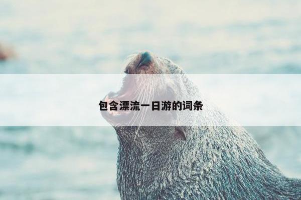 包含漂流一日游的词条