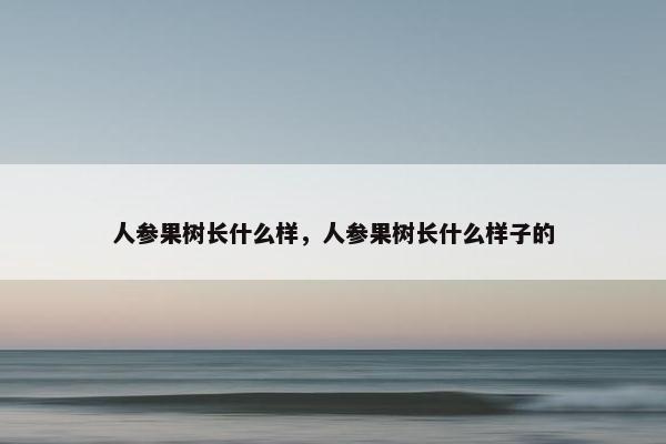 人参果树长什么样，人参果树长什么样子的