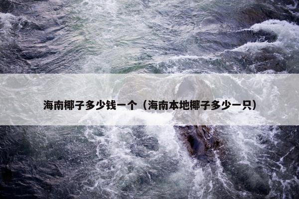 海南椰子多少钱一个（海南本地椰子多少一只）