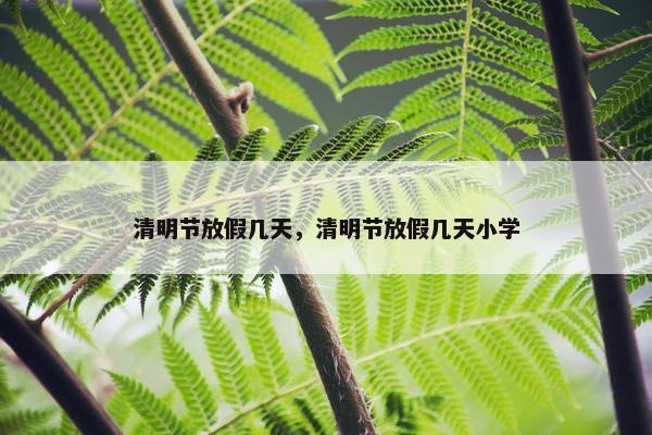 清明节放假几天，清明节放假几天小学