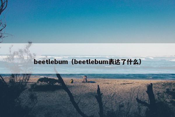 beetlebum（beetlebum表达了什么）