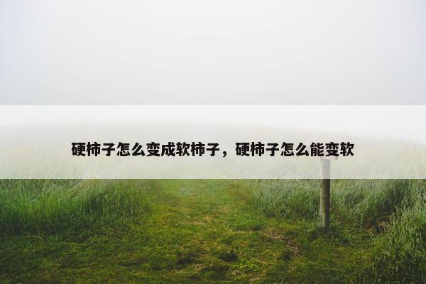 硬柿子怎么变成软柿子，硬柿子怎么能变软