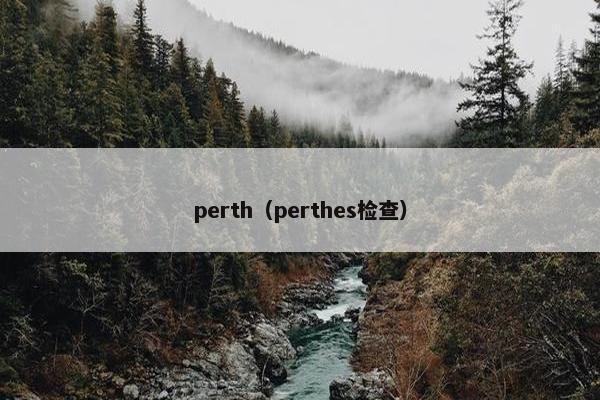 perth（perthes检查）