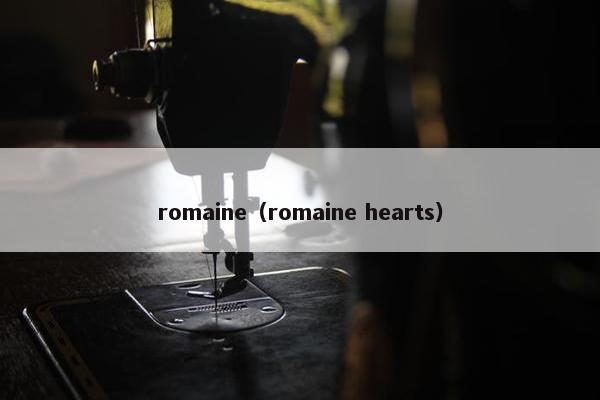 romaine（romaine hearts）